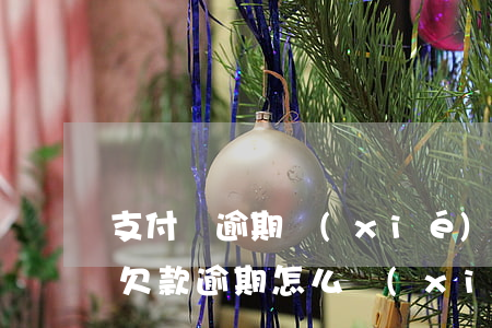 支付寶逾期協(xié)商還款步驟(支付寶欠款逾期怎么協(xié)商)