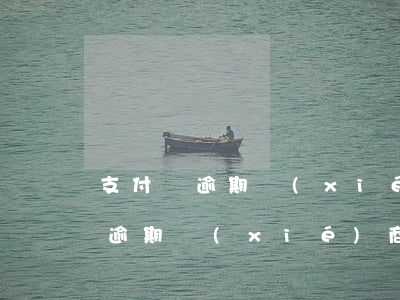 支付寶逾期協(xié)商還款流程(支付寶逾期協(xié)商還款流程要多久)