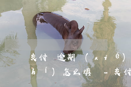 支付寶逾期協(xié)商還款的回執(zhí)怎么填寫-支付寶逾期協(xié)商還款的回執(zhí)怎么填寫啊