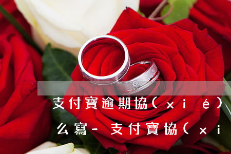 支付寶逾期協(xié)商還款貧困證明怎么寫-支付寶協(xié)商還款貧困證明格式