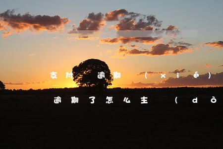 支付寶逾期協(xié)商還款賬戶(支付寶逾期了怎么主動(dòng)聯(lián)系支付寶協(xié)商)