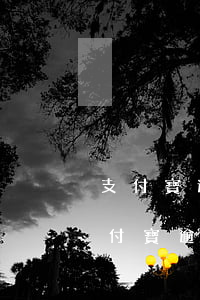 支付寶逾期協(xié)商還款重新分期(支付寶逾期可以協(xié)商分24期還款嗎)