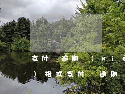 支付寶逾期協(xié)議申請(qǐng)格式 支付寶逾期減免申請(qǐng)書(shū)怎么寫(xiě)