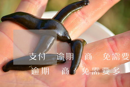 支付寶逾期協商減免需要多長時間-支付寶逾期協商減免需要多長時間完成