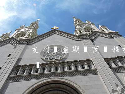 支付寶逾期協商過程(支付寶逾期協商提交失敗)
