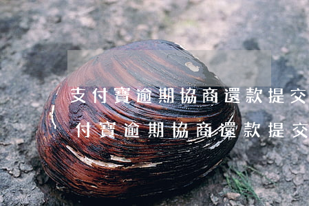 支付寶逾期協商還款提交失敗怎么回事-支付寶逾期協商還款提交失敗怎么回事啊