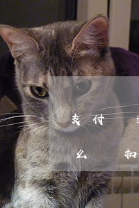 支付寶逾期卡有錢嗎(支付寶逾期卡里有錢怎么沒扣)