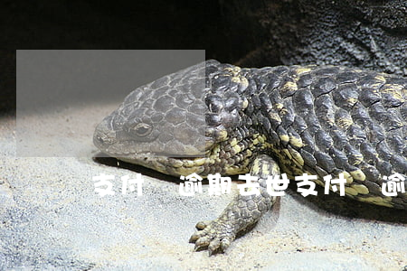 支付寶逾期去世（支付寶逾期去世）