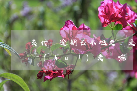 支付寶逾期去本地走訪是真的嗎?（支付寶逾期會(huì)走訪嘛）