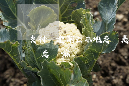 支付寶逾期去本地走訪是真的嗎?（支付寶逾期會走訪嘛）