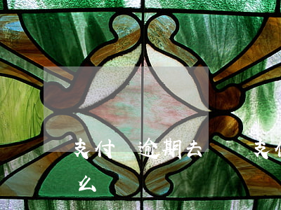 支付寶逾期去貸車(支付寶逾期可以貸款買車么)
