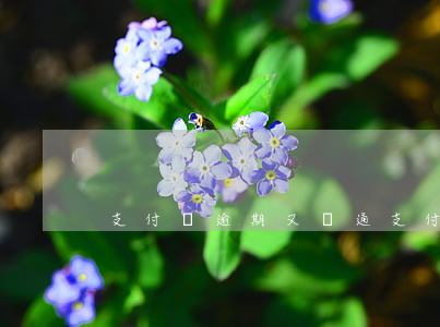 支付寶逾期又開通(支付寶不小心逾期了)