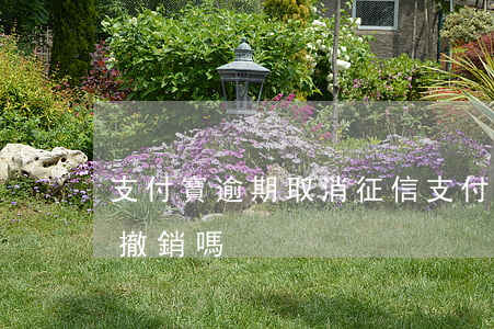 支付寶逾期取消征信（支付寶逾期了征信可以撤銷嗎）