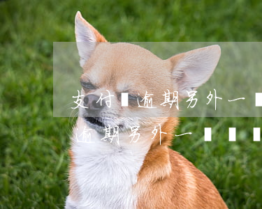 支付寶逾期另外一個號會被扣款么-支付寶逾期另外一個號會被扣款么