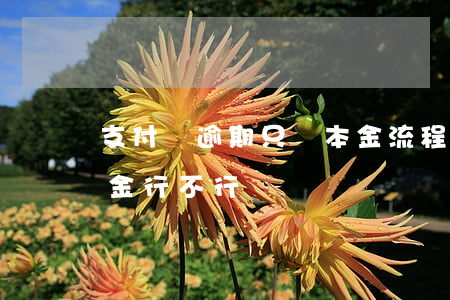 支付寶逾期只還本金流程(支付寶逾期只還本金行不行)