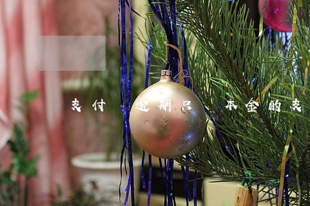 支付寶逾期只還本金的(支付寶逾期必須還完)