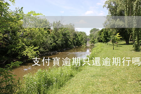 支付寶逾期只還逾期行嗎