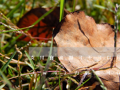 支付寶逾期可不可以只還本金(支付寶逾期無(wú)力償還可以免利息還本金嗎)