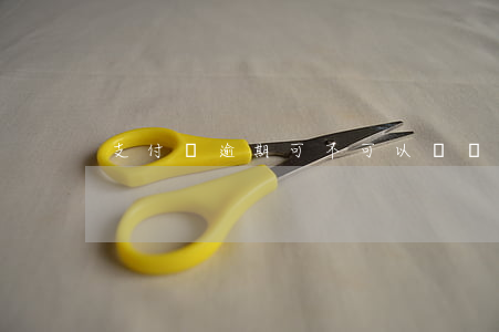 支付寶逾期可不可以買東西