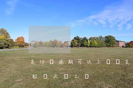 支付寶逾期可以上門嗎(支付寶逾期說上門,一般幾天會上門)