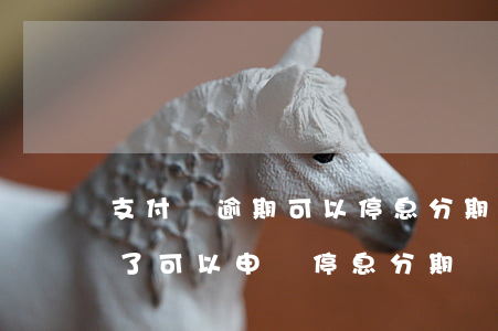 支付寶逾期可以停息分期嗎(欠支付寶錢逾期了,可以申請停息分期嗎?)