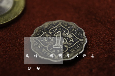 支付寶逾期可以停息掛賬嗎（支付寶逾期停息分期）