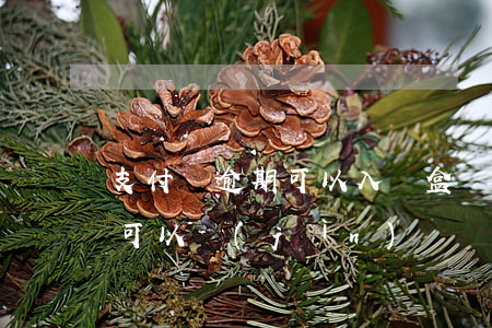 支付寶逾期可以入職盒馬嗎-盒馬離職多久可以進(jìn)