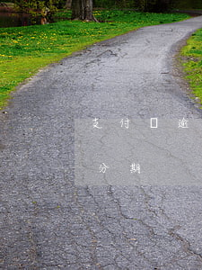 支付寶逾期可以再分期嗎?（支付寶逾期可以再分期）