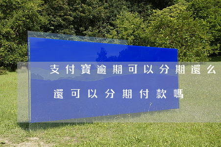 支付寶逾期可以分期還么(支付寶花唄逾期了還可以分期付款嗎)