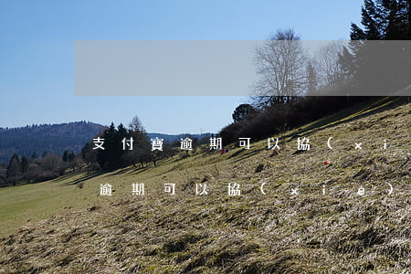 支付寶逾期可以協(xié)商減息(支付寶逾期可以協(xié)商減息)