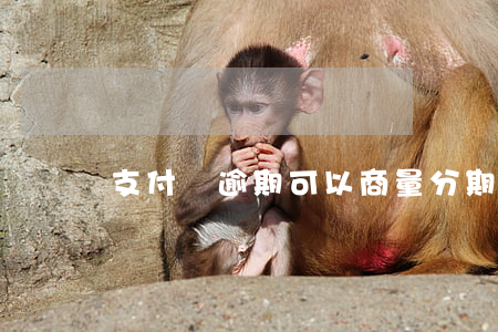 支付寶逾期可以商量分期嗎