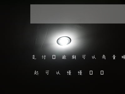 支付寶逾期可以商量晚還不(支付寶逾期還不起,可以慢慢還嗎)