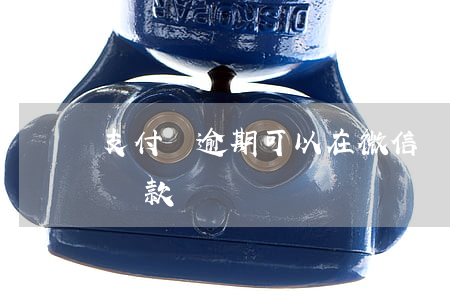 支付寶逾期可以在微信號代款嗎-微信上能貸款嗎