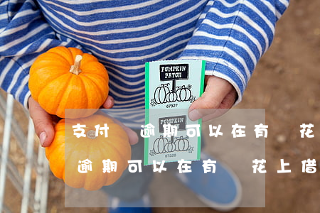 支付寶逾期可以在有錢花上借錢嗎-支付寶逾期可以在有錢花上借錢嗎安全嗎