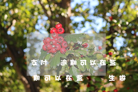 支付寶逾期可以在盒馬鮮生做嗎-支付寶逾期可以在盒馬鮮生做嗎