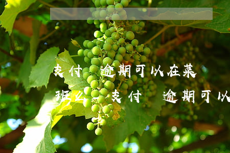 支付寶逾期可以在菜鳥聯(lián)盟上班么-支付寶逾期可以在菜鳥聯(lián)盟上班么嗎