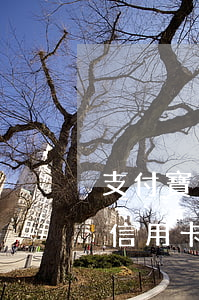 支付寶逾期可以座飛機(jī)嗎-支付寶信用卡逾期三個(gè)月可以坐飛機(jī)嗎