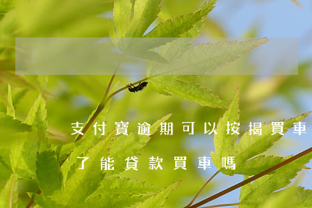 支付寶逾期可以按揭買車嗎(支付寶花唄逾期了能貸款買車嗎)