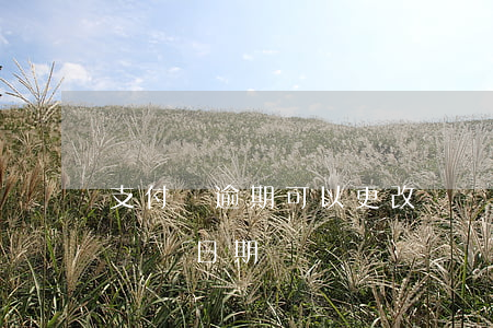 支付寶逾期可以更改賬單日(怎樣修改支付寶賬單日期)
