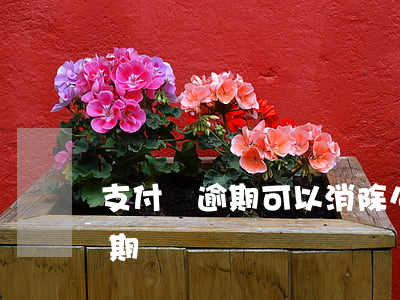 支付寶逾期可以消除么-支付寶怎么解除逾期
