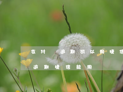 支付寶逾期可以用捷信分期買手機嗎（支付寶逾期捷信能用嗎）