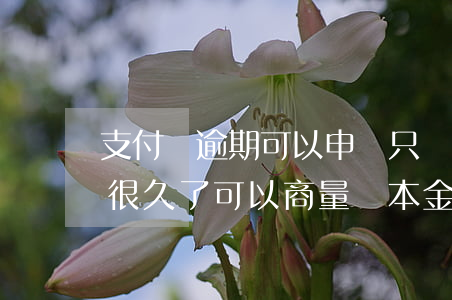 支付寶逾期可以申請只還本金嗎(支付寶逾期很久了可以商量還本金嗎?)