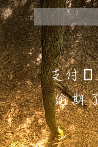 支付寶逾期可以異地辦理身份證嗎-支付寶逾期了可以辦理銀行卡嗎