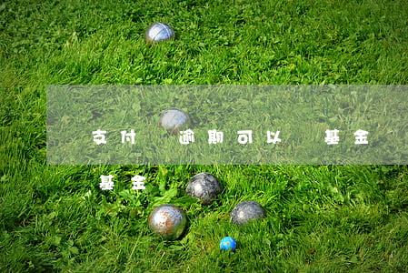 支付寶逾期可以買基金嗎 支付寶逾期可以買基金嗎