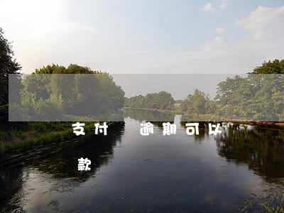 支付寶逾期可以貸車嗎(支付寶逾期了可以貸款買車嗎)