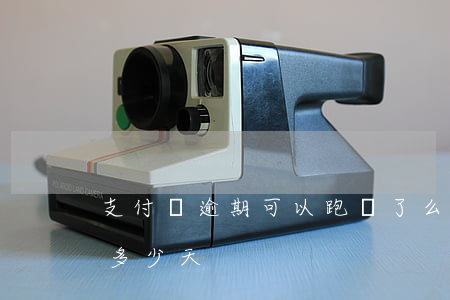 支付寶逾期可以跑餓了么-餓了嗎逾期可以多少天