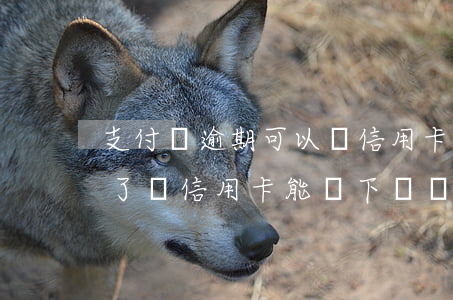 支付寶逾期可以辦信用卡不(支付寶花唄逾期了辦信用卡能辦下來嗎)