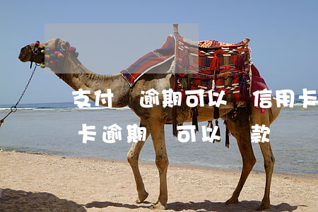 支付寶逾期可以辦信用卡嗎(支付寶逾期信用卡逾期還可以貸款嗎?)