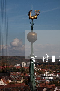 支付寶逾期可以辦助學(xué)貸款(手機(jī)支付寶不可以還助學(xué)貸款嗎)