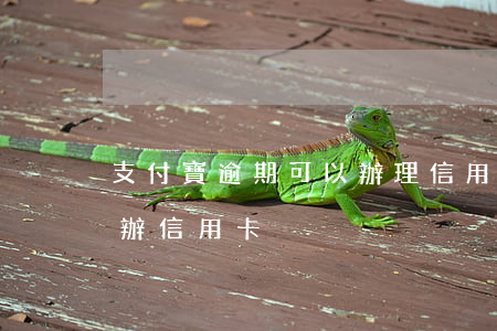 支付寶逾期可以辦理信用卡不（支付寶逾期能辦信用卡）